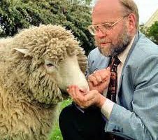 Dolly, The Cloning Sheep given rebirth