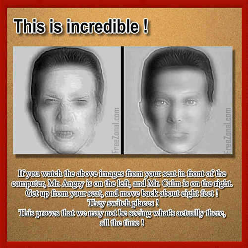 Switching Face Optical illusion