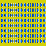 Rollers Optical illusions