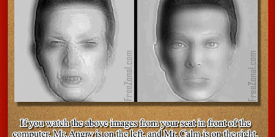 Switching Face Optical illusion