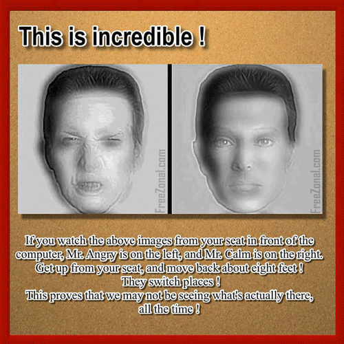 Switching Face Optical illusion Switching Face Optical illusion