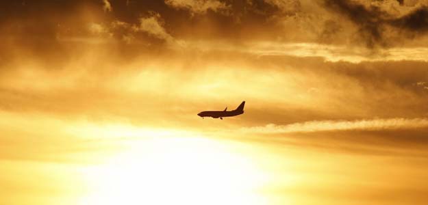 spicejte indigo spicejte indigo